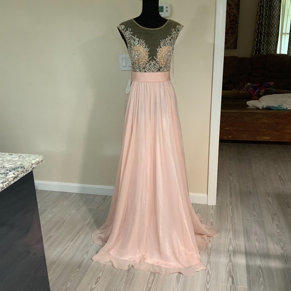 Colors Dresses & Skirts - Super full blush chiffon